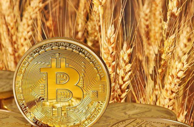 数字货币交易九大黄金法则, 比特币的路究竟有多长