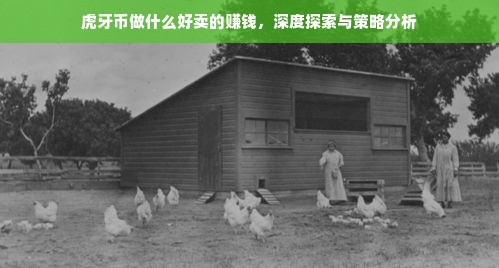 虎牙币做什么好卖的赚钱，深度探索与策略分析
