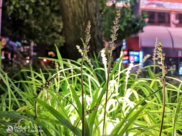 荣耀夜景拍摄技术_华为荣耀夜景拍照设置参数_评测荣耀的拍照模式：夜景与人像解析