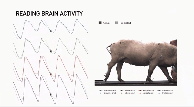 马斯克提及Neuralink未来计划：2025年将为部分患者提供脑机接口植入_马斯克人脑接口概念股_马斯克发明植入脑机接口