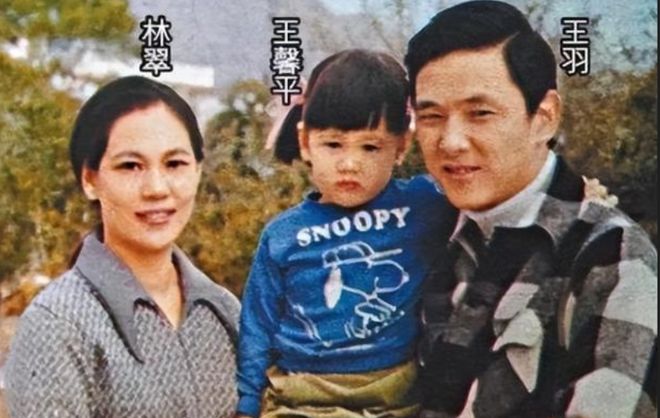 李连杰武术指导的电影_武术家李连杰_从武术演员到制片人：李连杰的转型