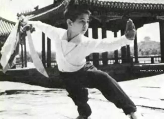 从武术演员到制片人：李连杰的转型_武术李连杰_李连杰武术指导的电影